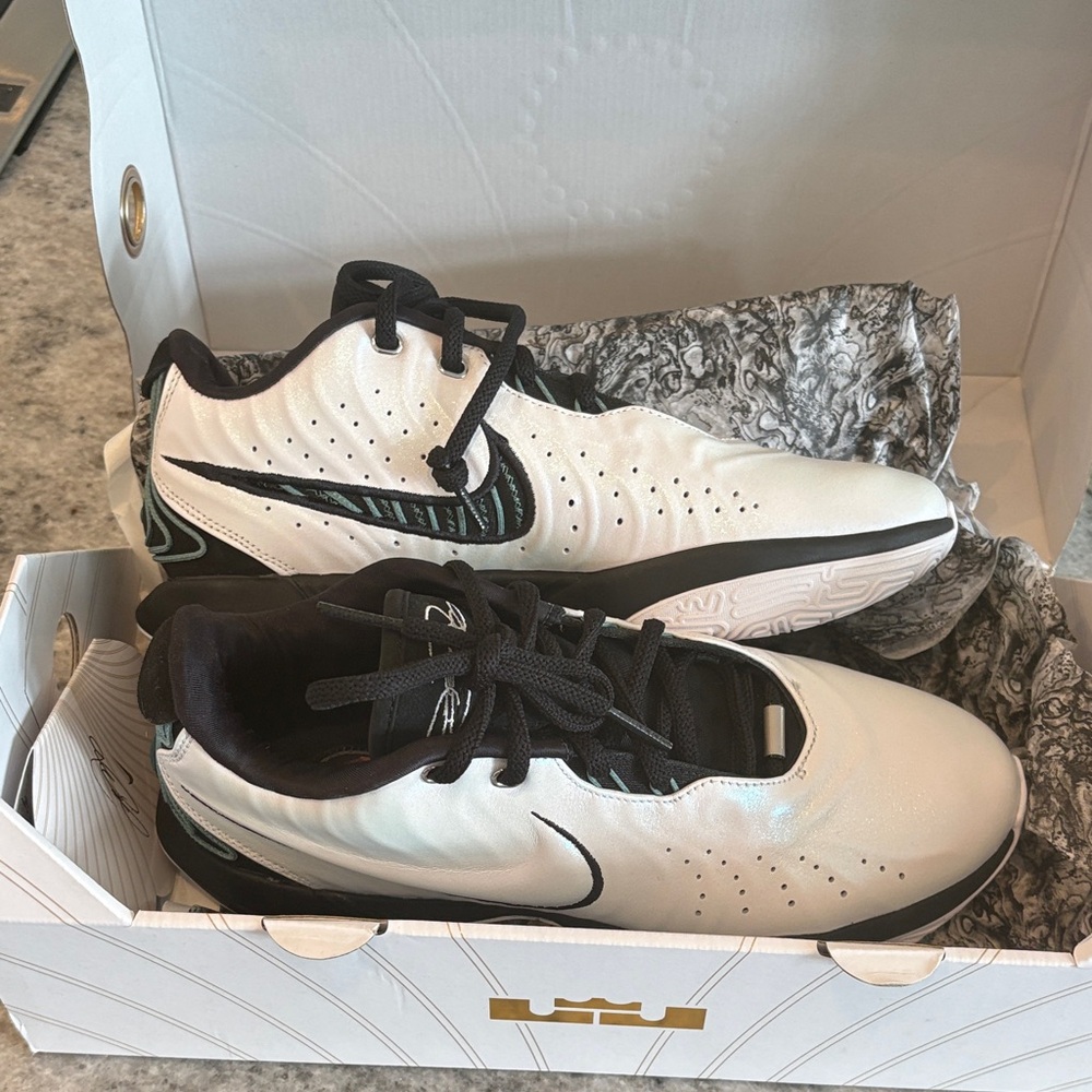 LeBron Basketball/Court Shoes, Never Used
